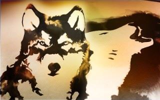 Les deux loups