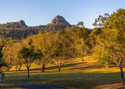 Amaroo Audience 2024 - Prem Rawat - Events