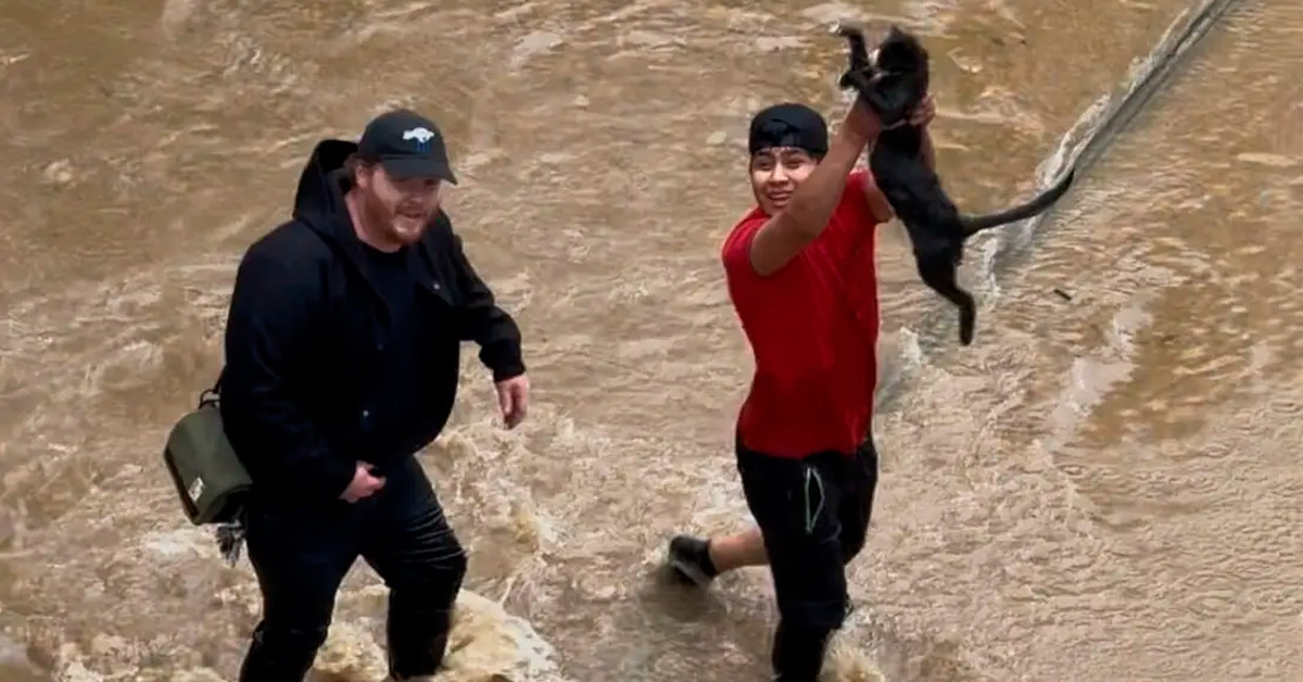 The River Arts District of Asheville was flooded by Hurricane Helene. The Prem Rawat Foundation is providing humanitarian aid to victims.
