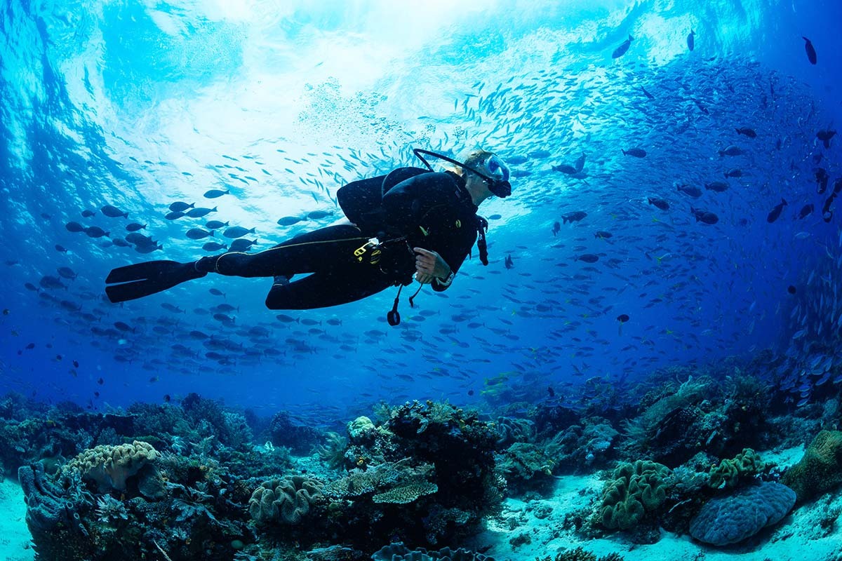 scuba driver