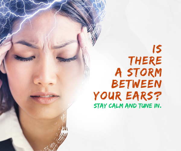 Is there a storm between your ears? Lifes Essentials with Prem Rawat Season 6 Episode 29